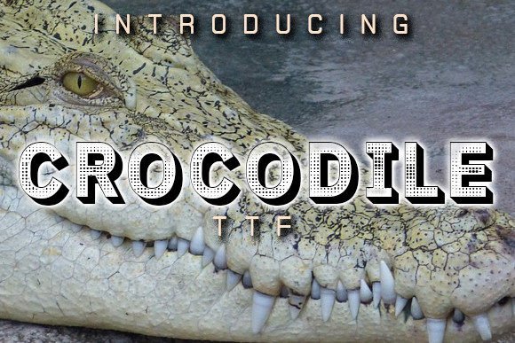 Crocodile: A Stylish 3D Display Typeface for Impactful Designs